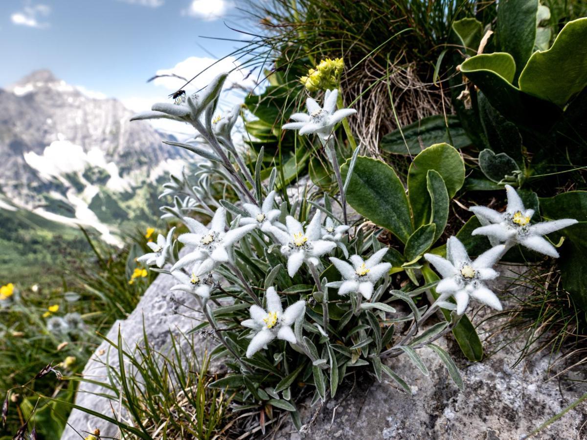 Das Naturhotel Die Eng Хинтерис Екстериор снимка